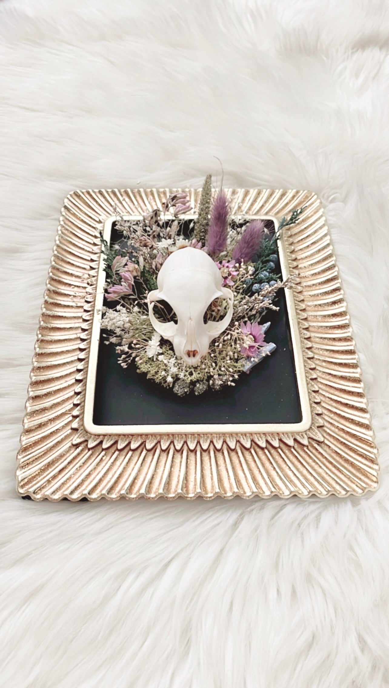 Violet Oddities Frame <Cat Skull>