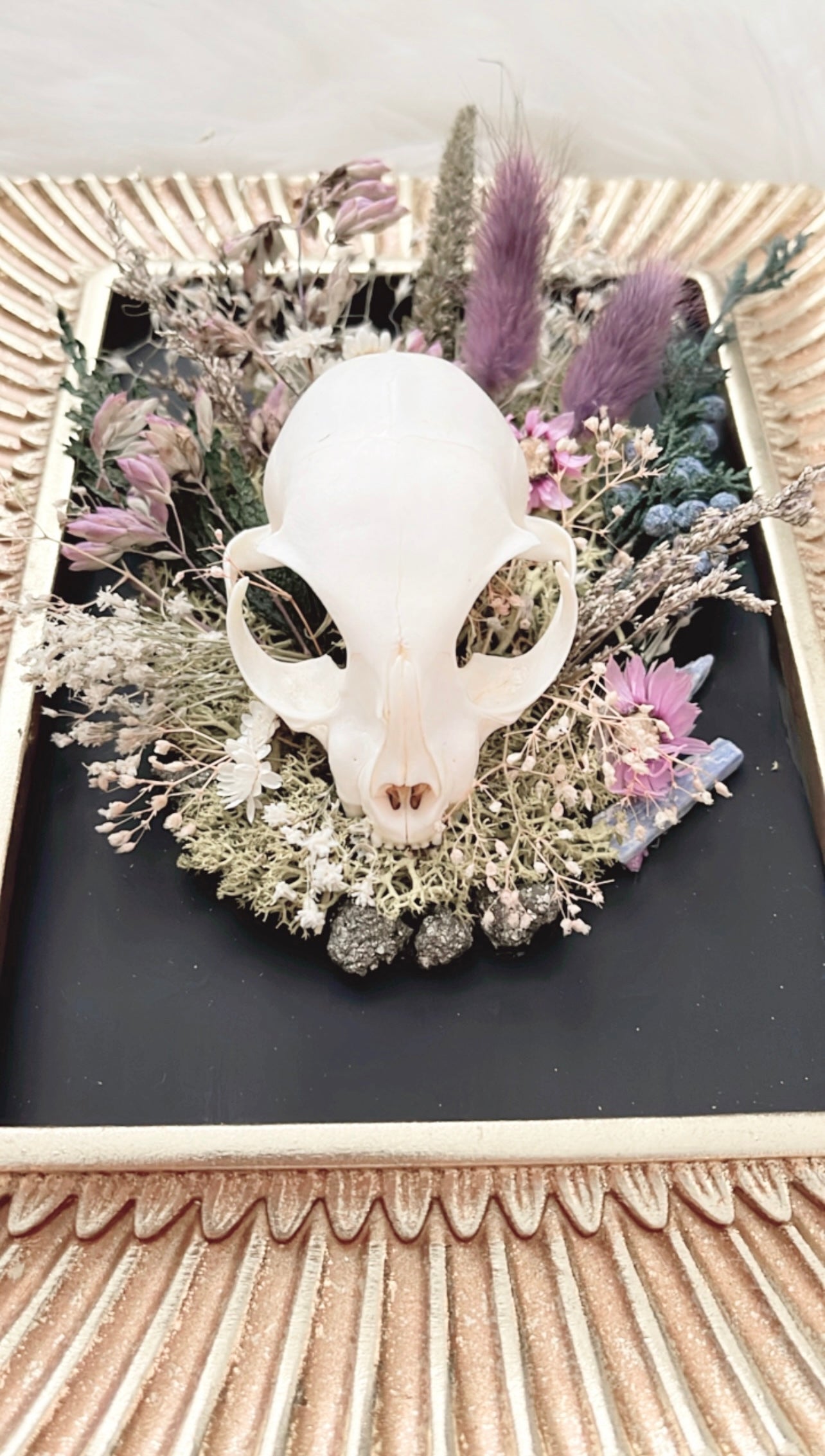 Violet Oddities Frame <Cat Skull>