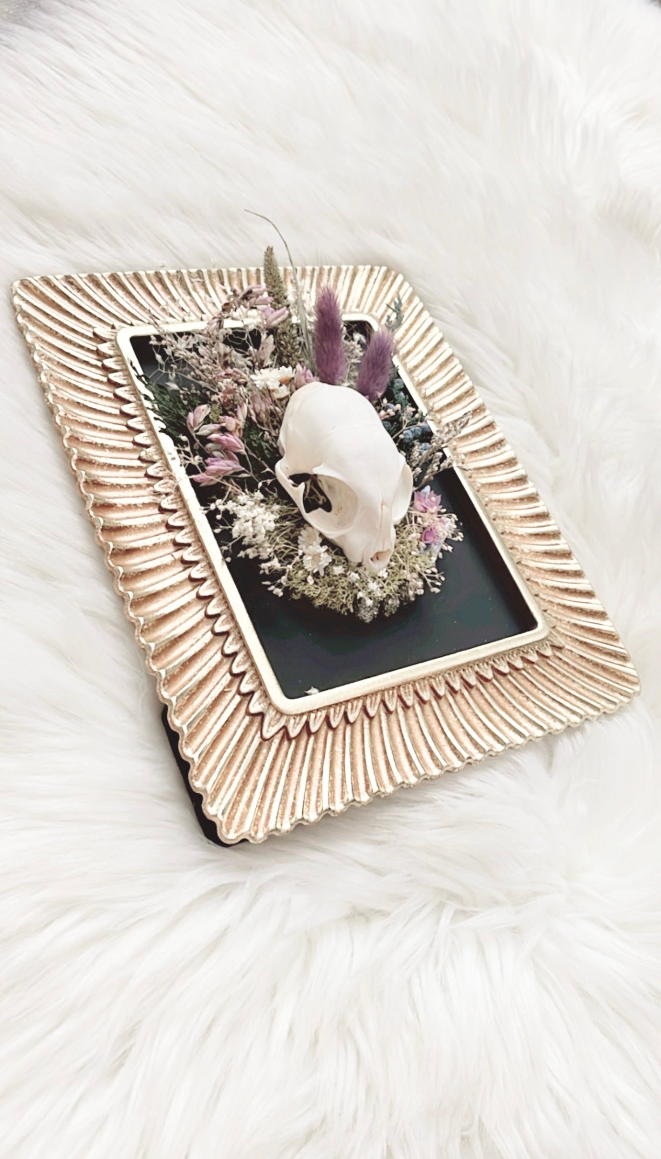 Violet Oddities Frame <Cat Skull>