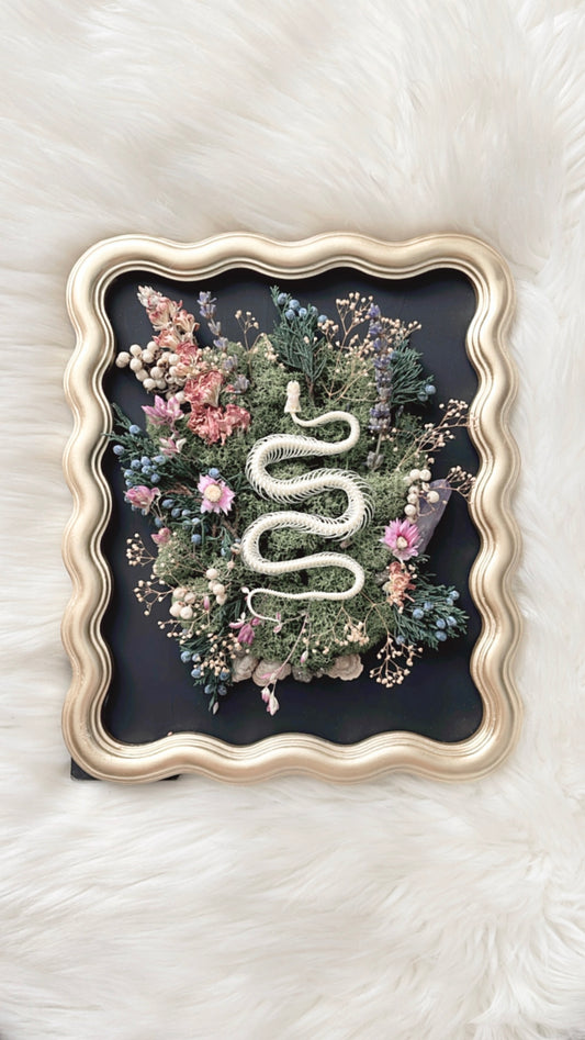 Vivienne Oddities Frame <Snake Skelly>