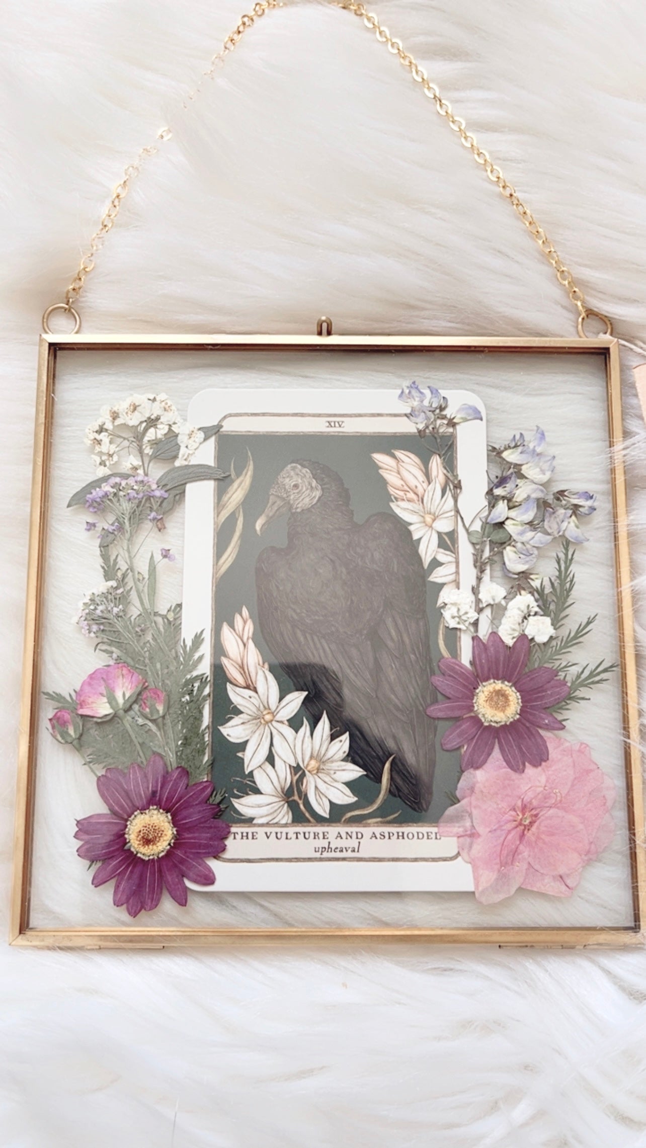The Vulture and Asphodel Oracle Floral Frame