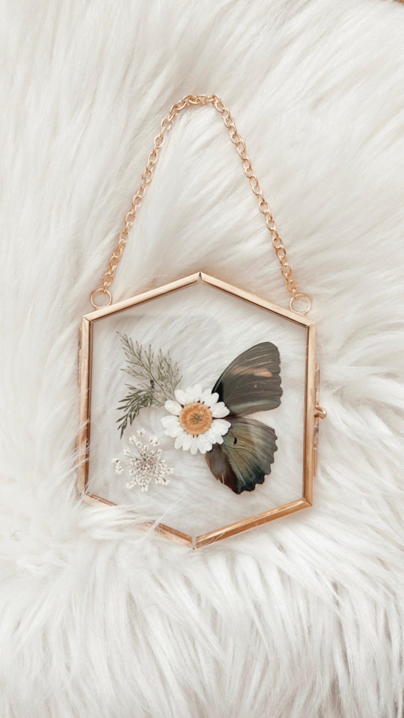 Wanda Butterfly Floral Frame