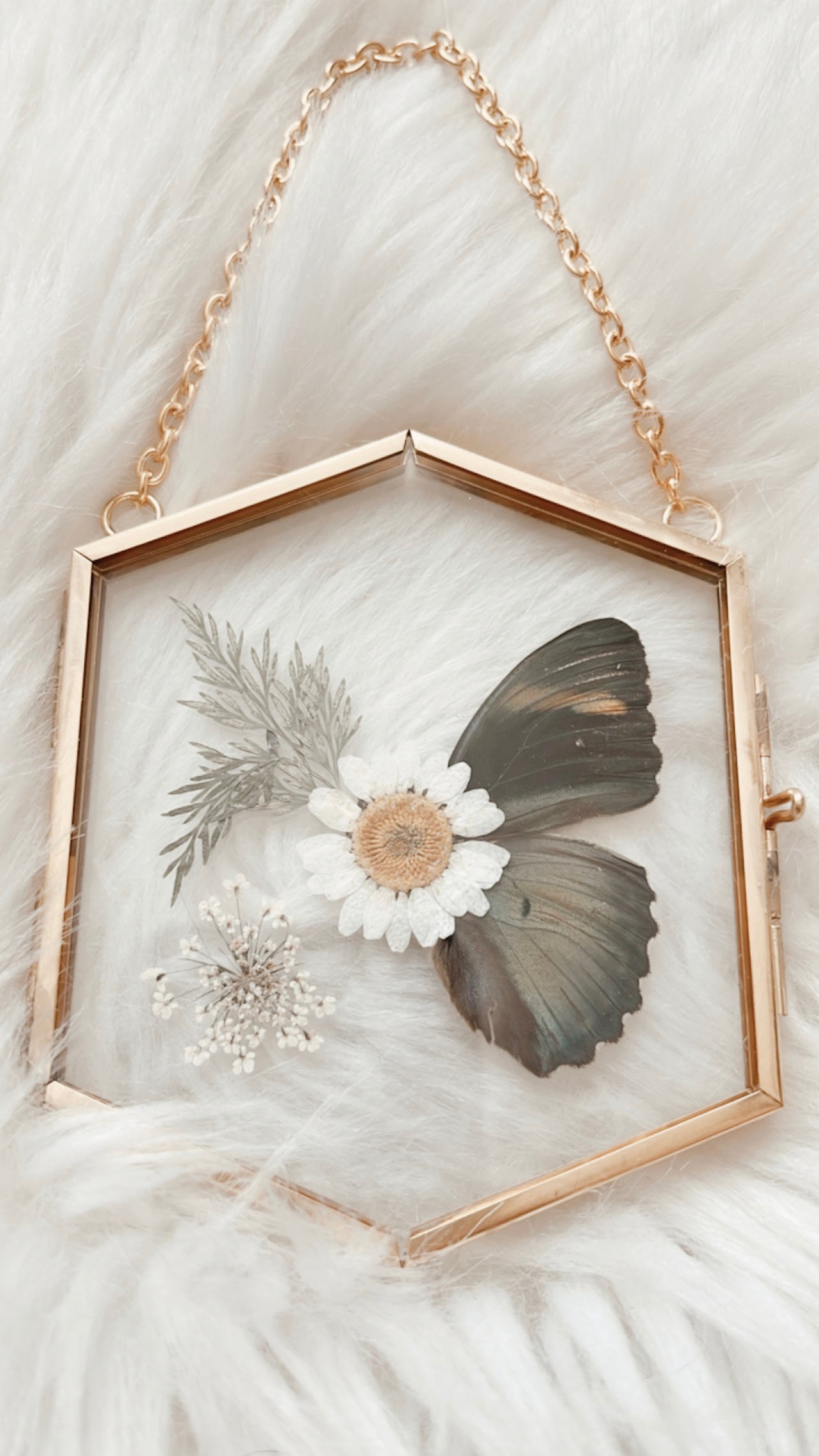 Wanda Butterfly Floral Frame