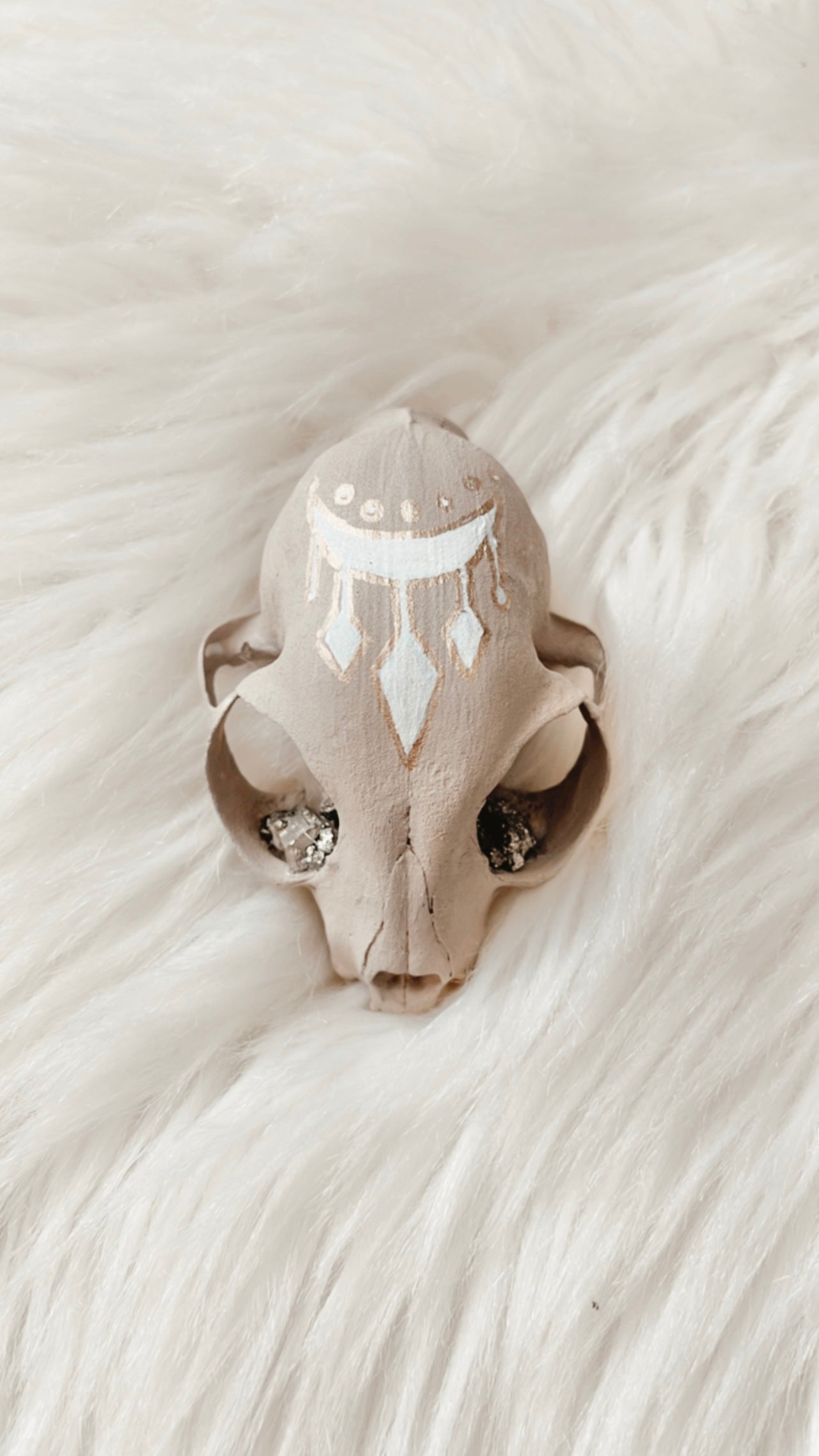 Wanda Cat Skull