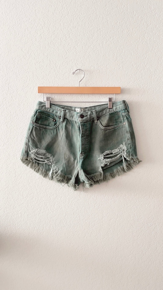 EUC We the Free Loving Good Vibrations Shorts (SIZE 28)