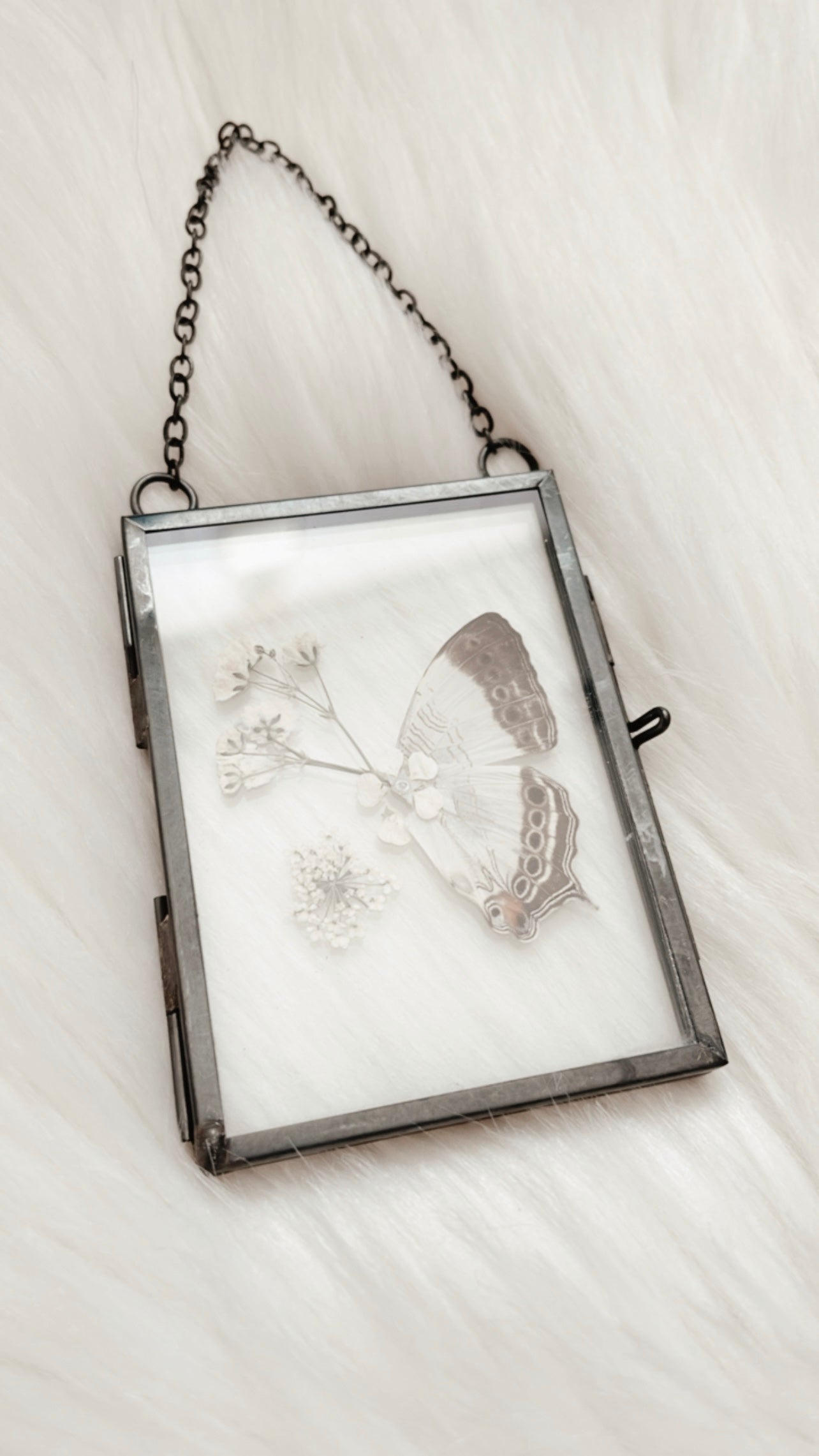 Whitney Butterfly Floral Frame
