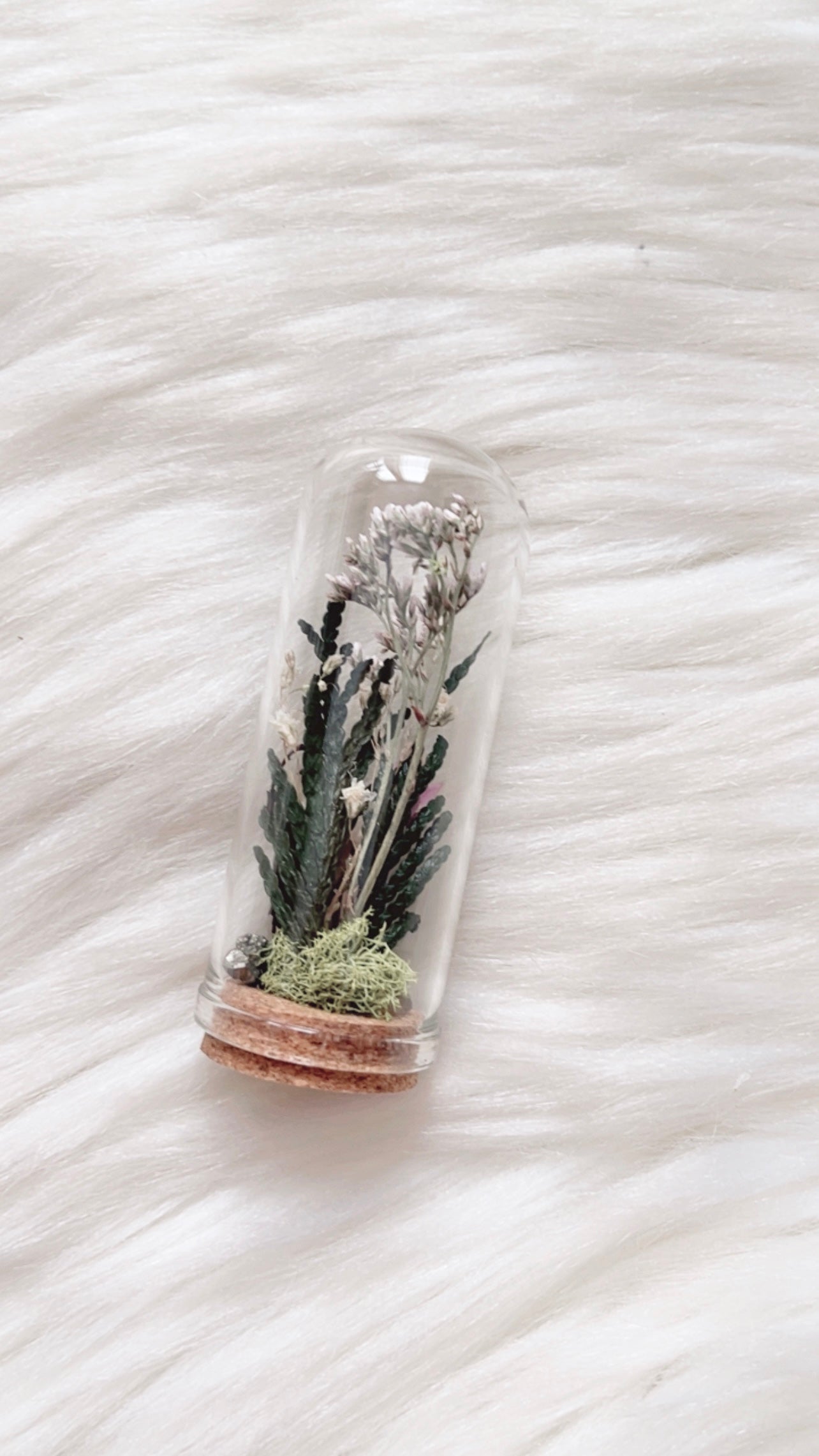 Willow Terrarium