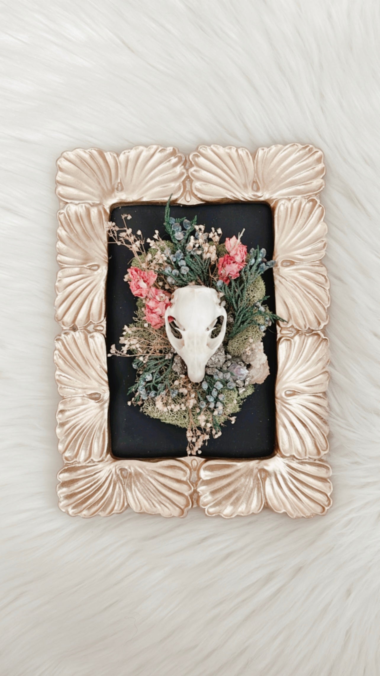 Winifred Squirrel Skull Floral Frame