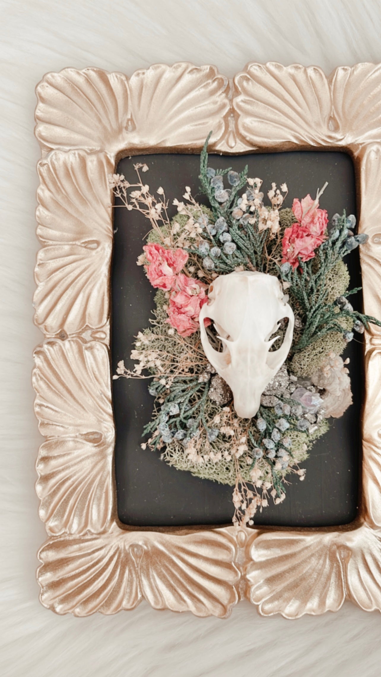 Winifred Squirrel Skull Floral Frame