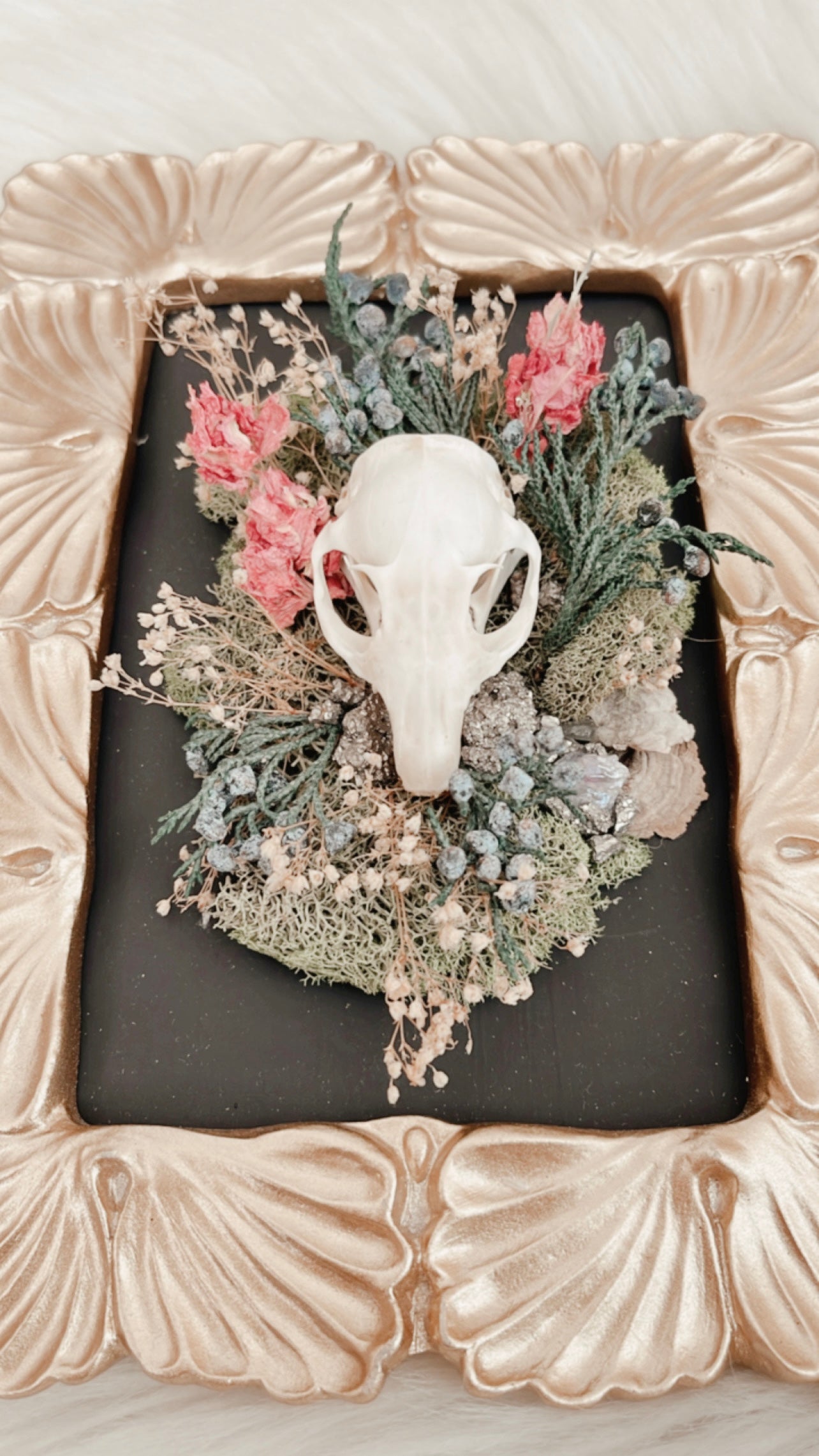 Winifred Squirrel Skull Floral Frame