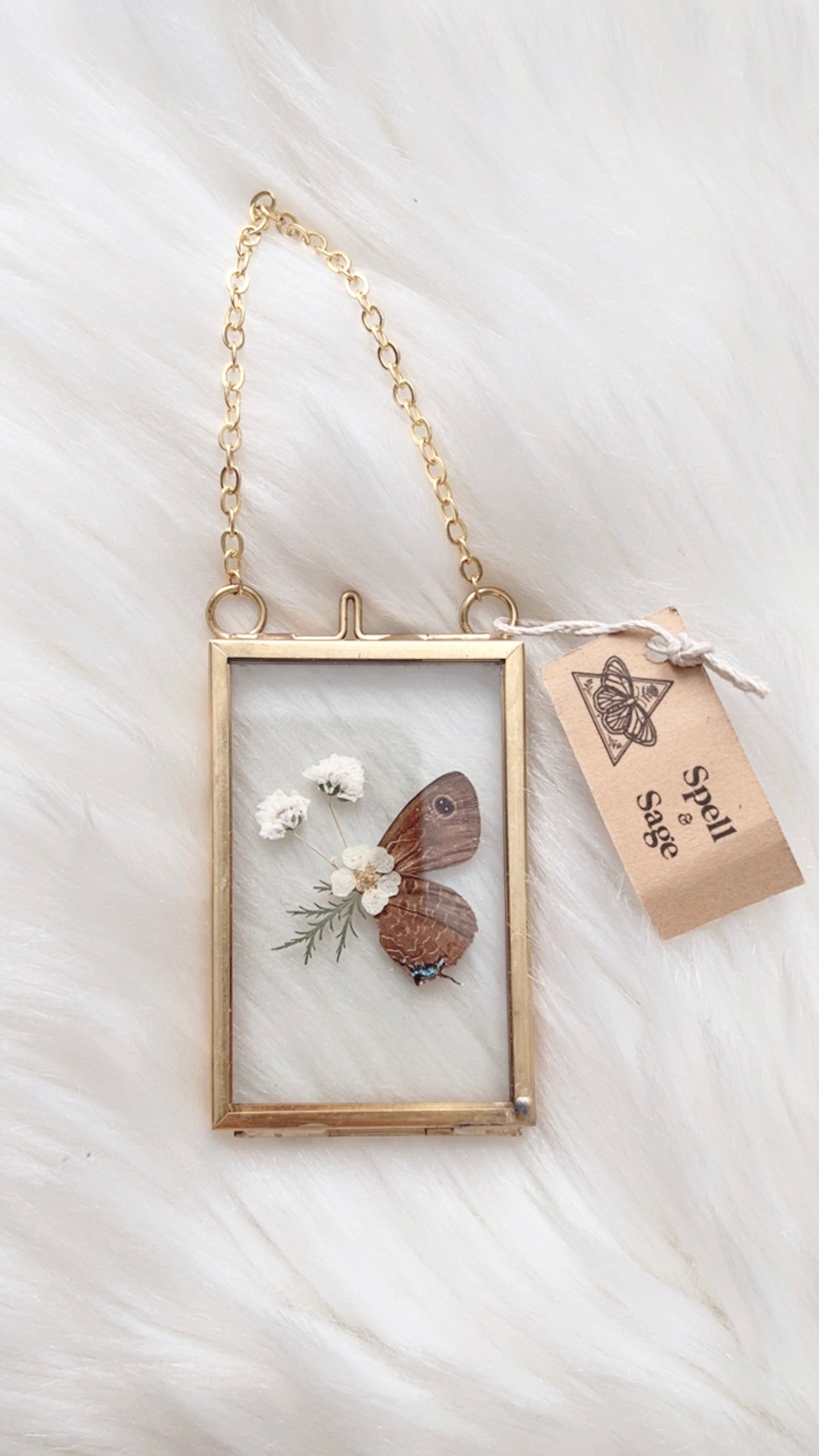 Wren Butterfly Floral Frame <2x3in>