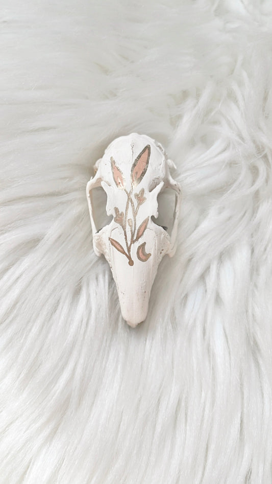 Wren Rabbit Skull