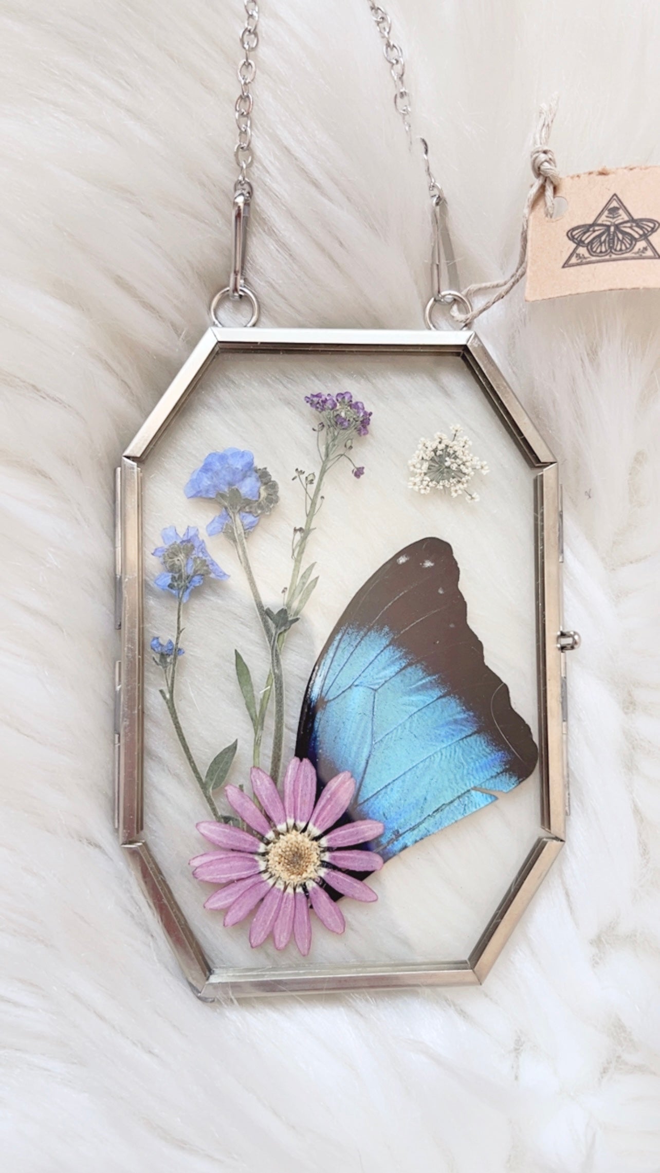 Ximena Butterfly Floral Frame <3x5in>