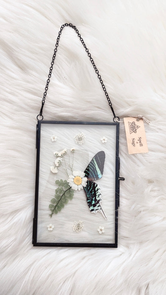 Ziggy Moth Floral Frame <4x6in>