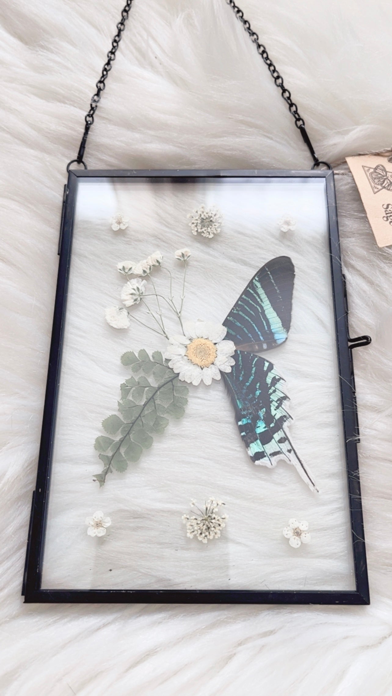 Ziggy Moth Floral Frame <4x6in>