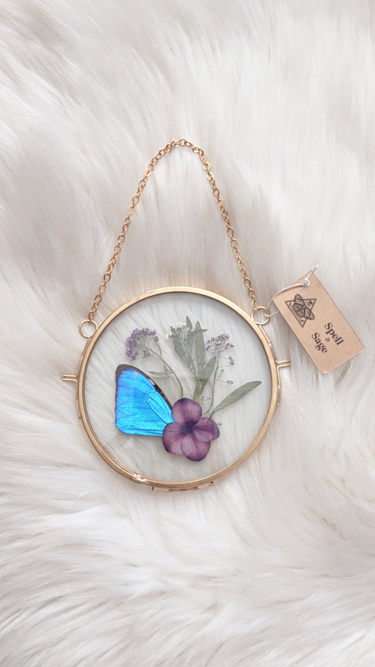 Zoe Butterfly Floral Frame <4in>