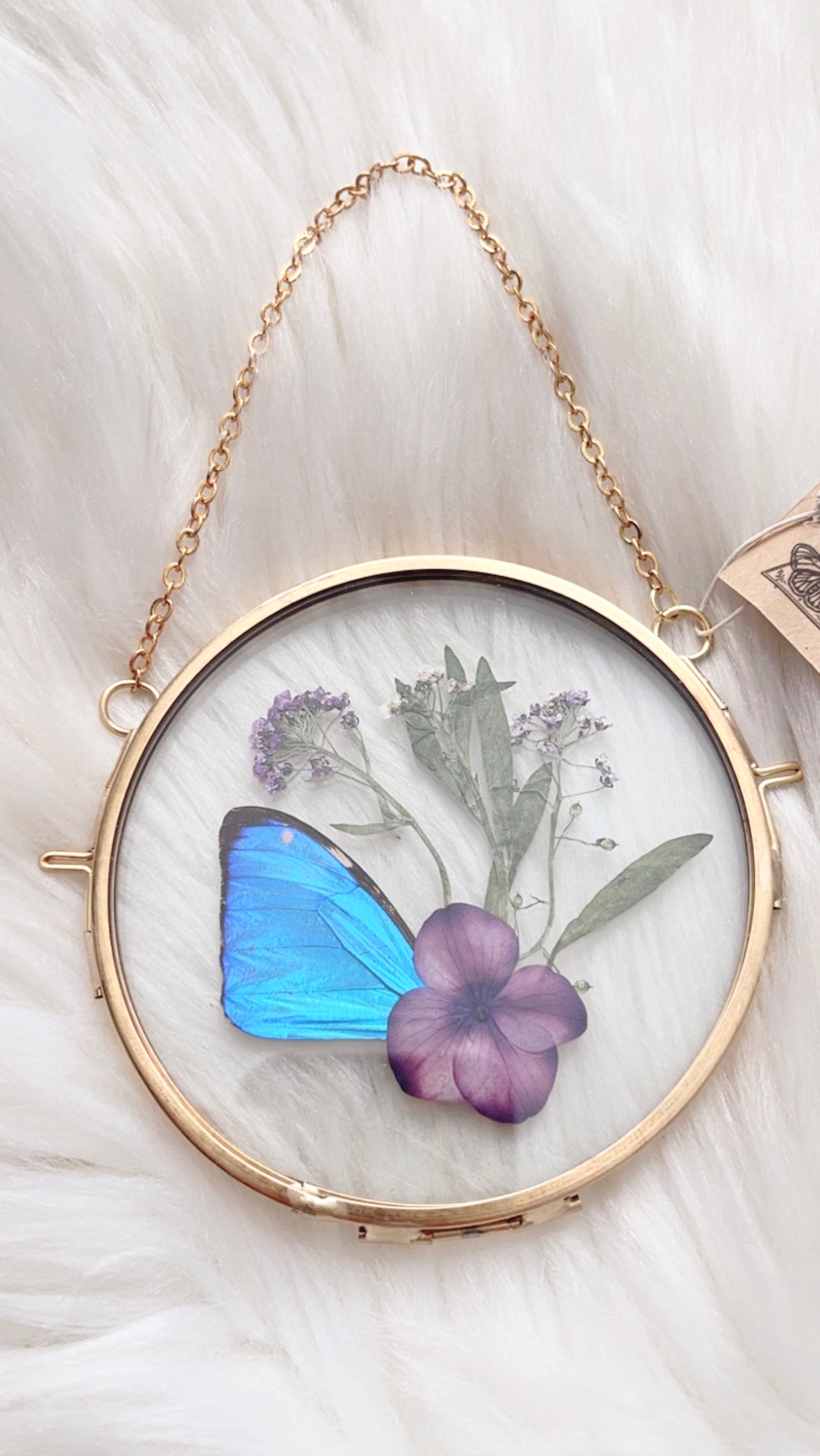 Zoe Butterfly Floral Frame <4in>