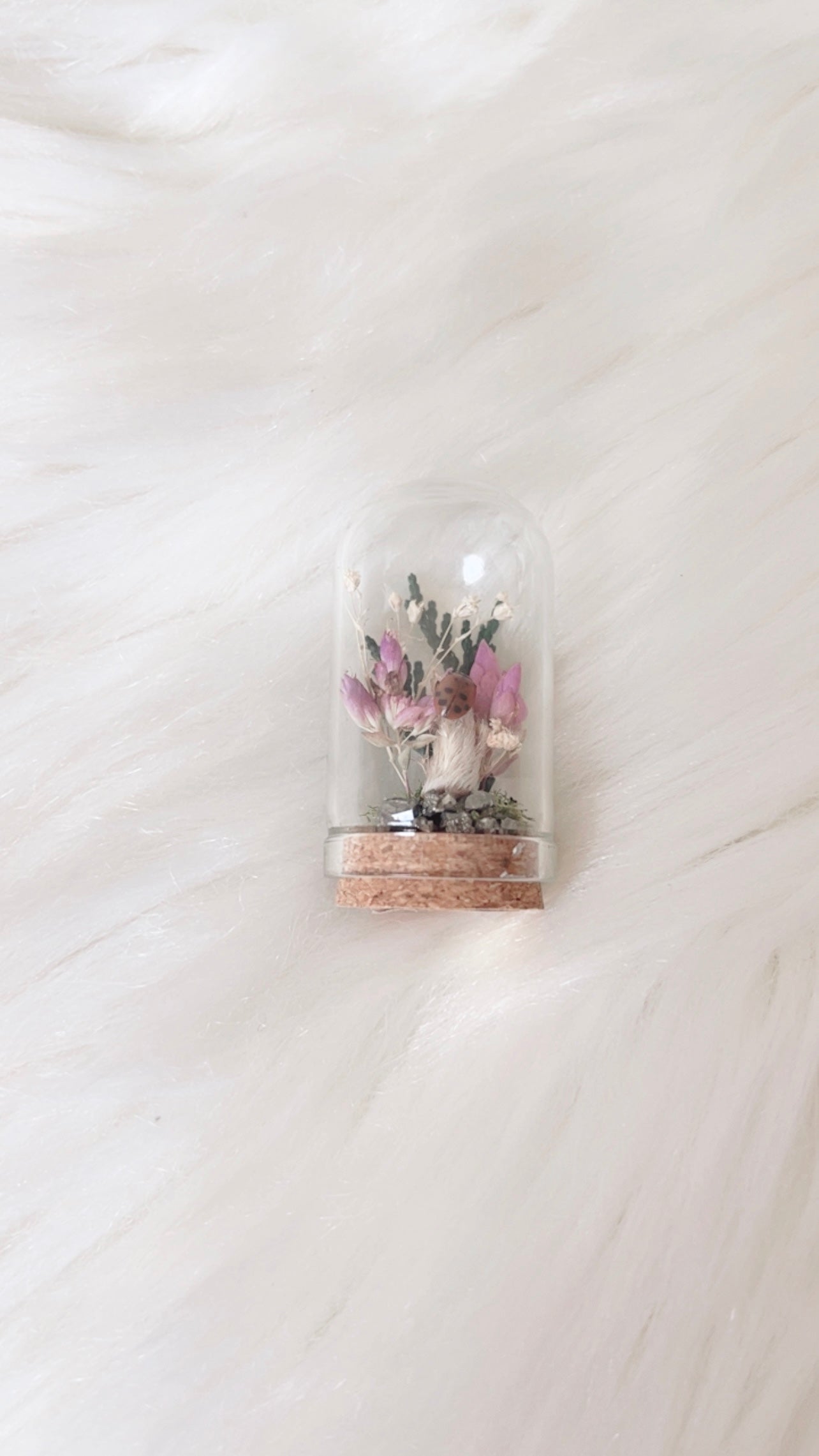 Zoe Mini Terrarium