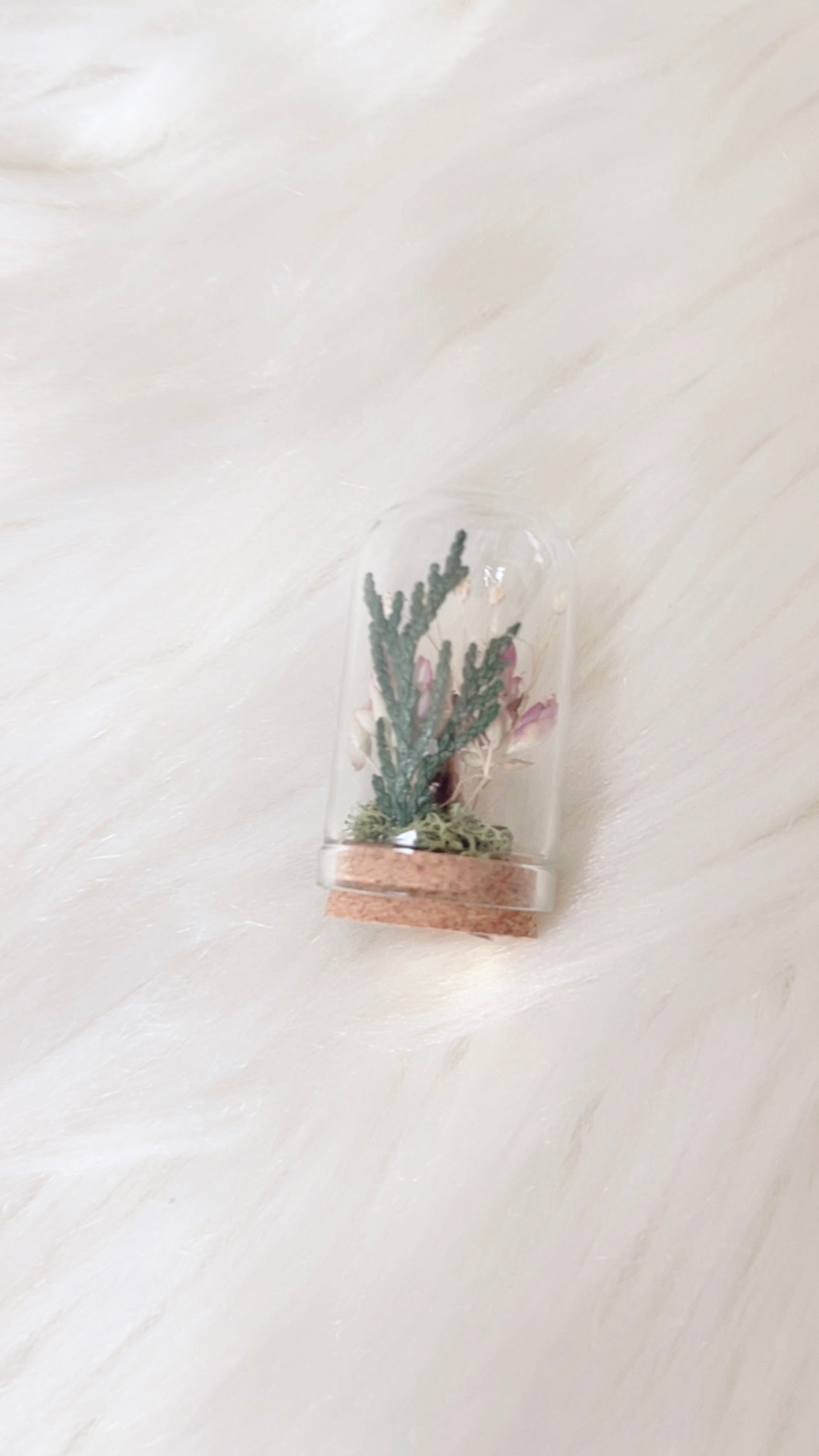 Zoe Mini Terrarium