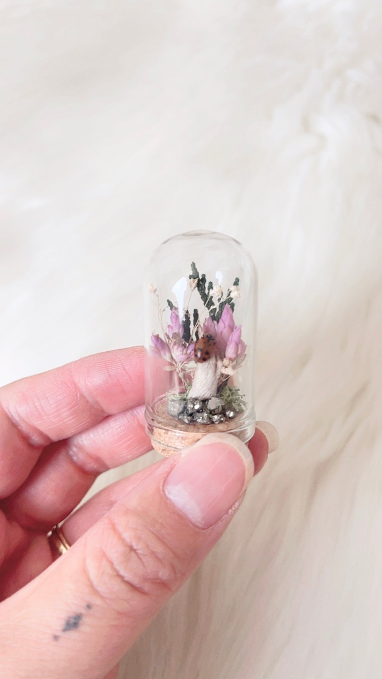 Zoe Mini Terrarium